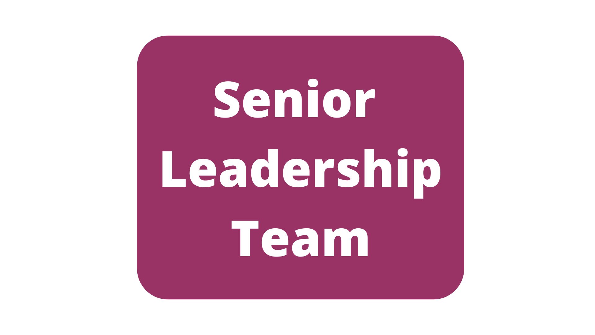 Senior Leadership Team